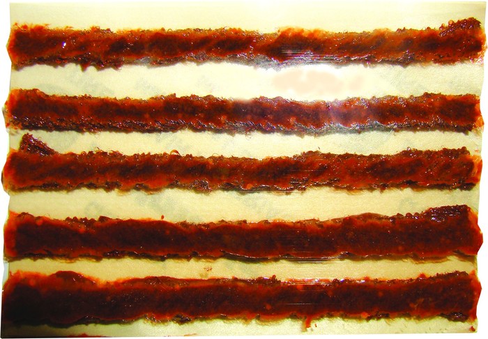 Camel rasvanöör 10cm lühike